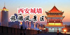 把腿扒开艹b真爽中国陕西-西安城墙旅游风景区