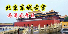 操美女外阴视频中国北京-东城古宫旅游风景区